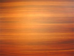 生態(tài)板在清潔時需要注意的問題 生態(tài)板在清潔時需要注意的問題