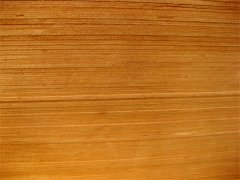 生態(tài)板的制作工藝和優(yōu)勢(shì)有哪些 生態(tài)板的制作工藝和優(yōu)勢(shì)有哪些